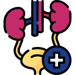 Urology